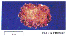 ZU03[1].gif
